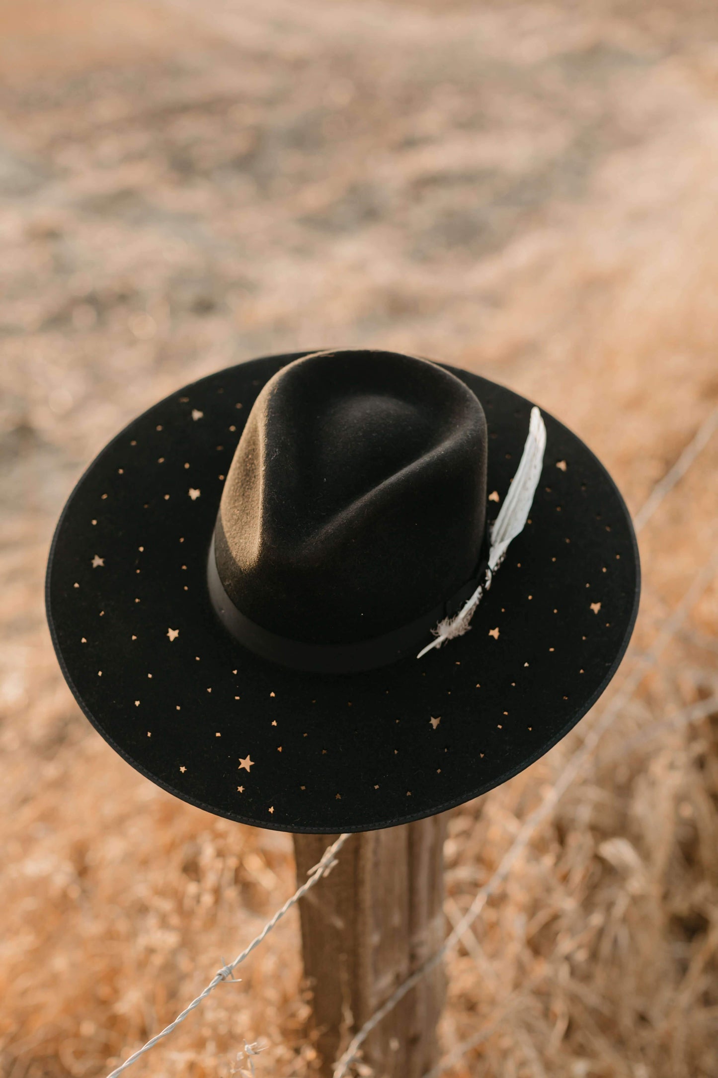 Milton Menasco x Tenlea Hunter - Stetson Star Special Edition Hat in Black